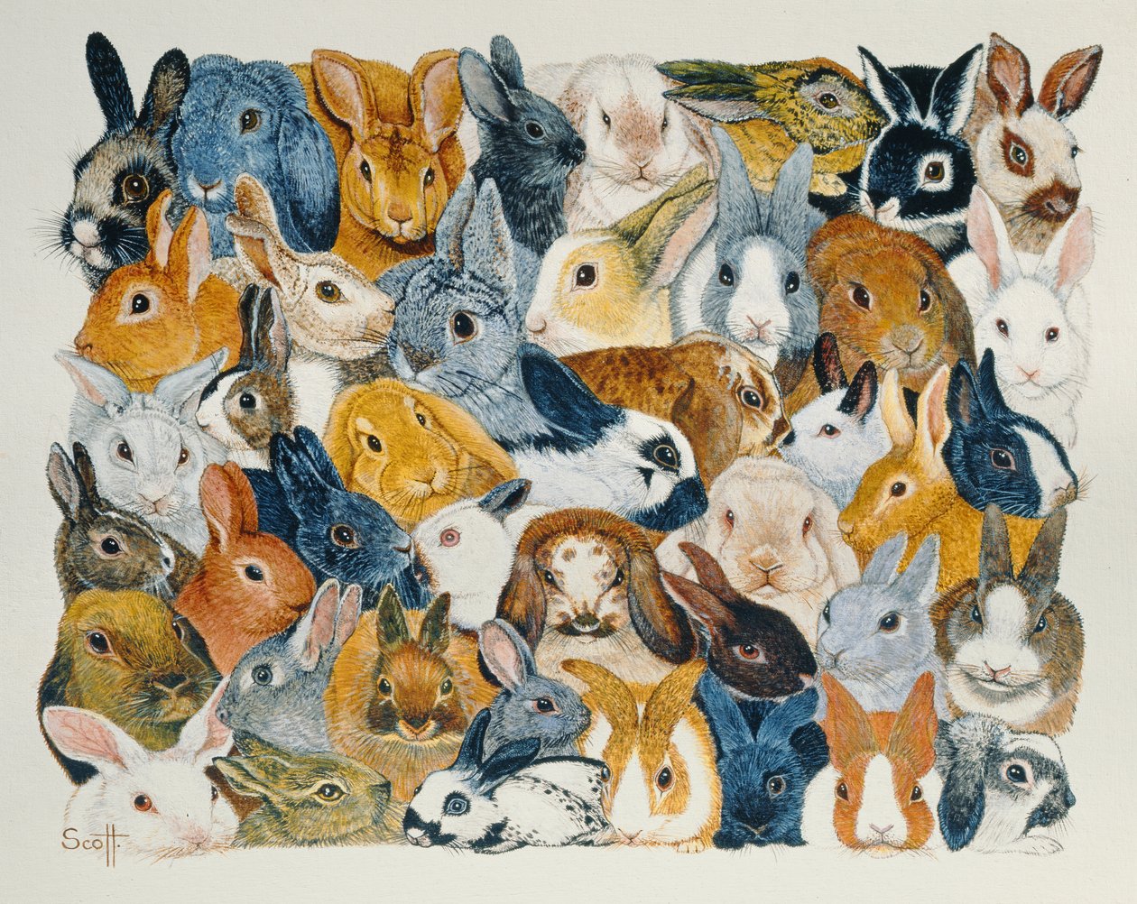  by Pat Scott