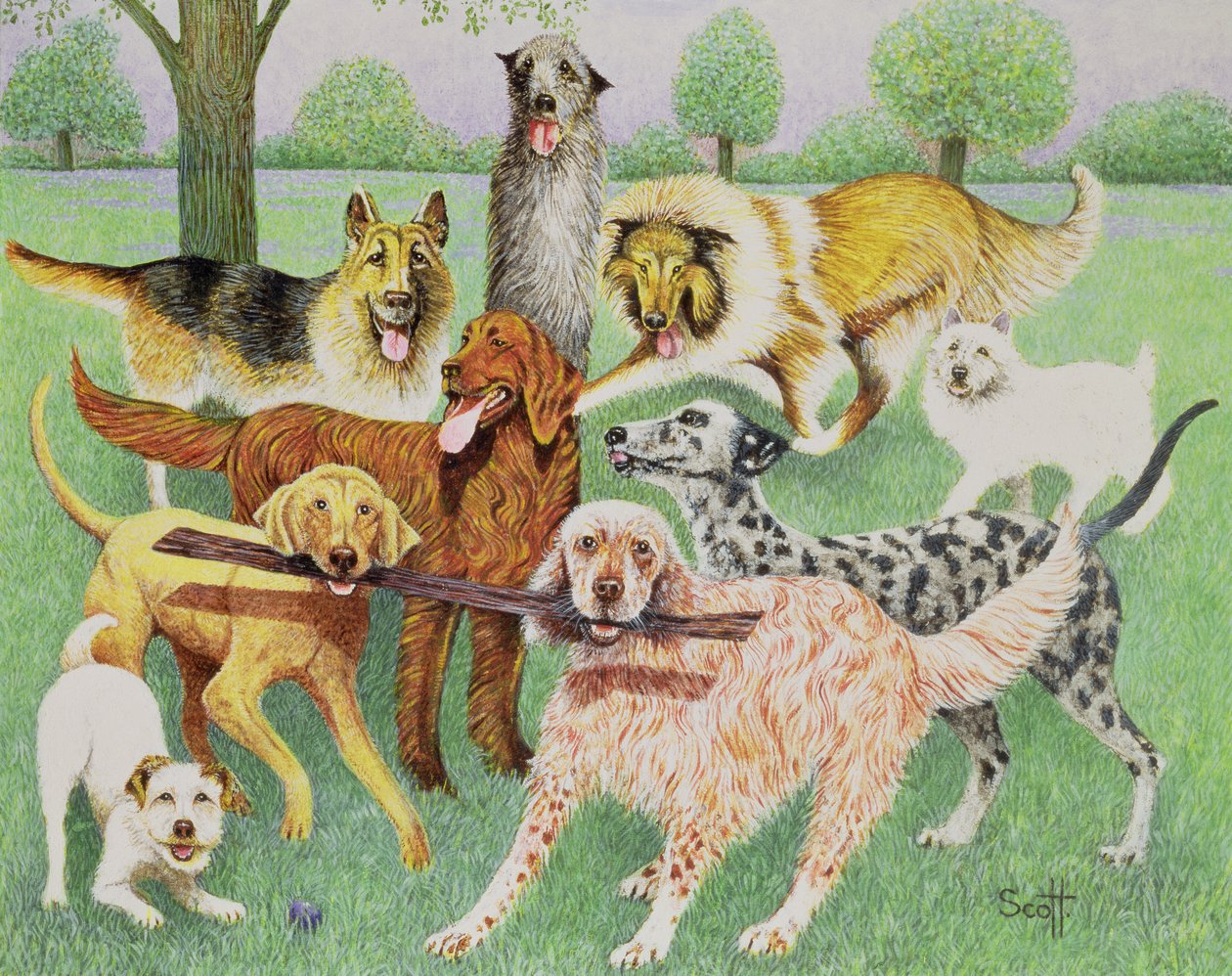  by Pat Scott