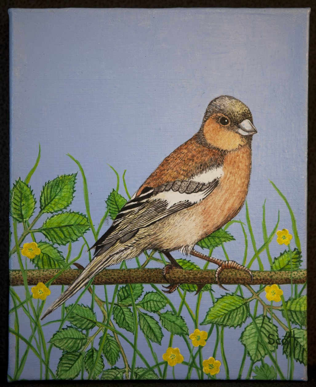  by Pat Scott