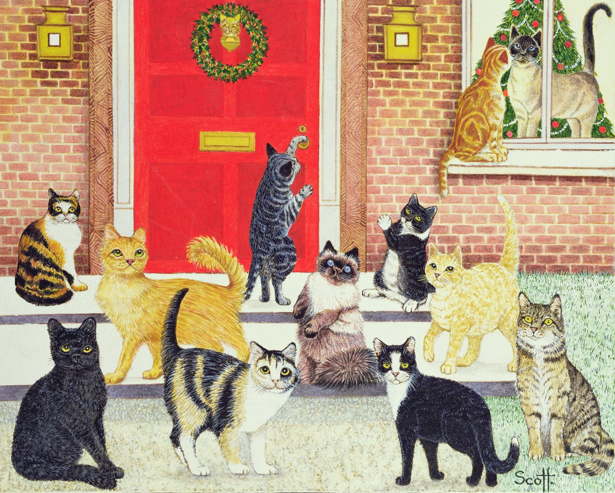  by Pat Scott
