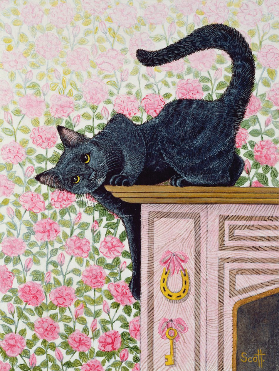  by Pat Scott