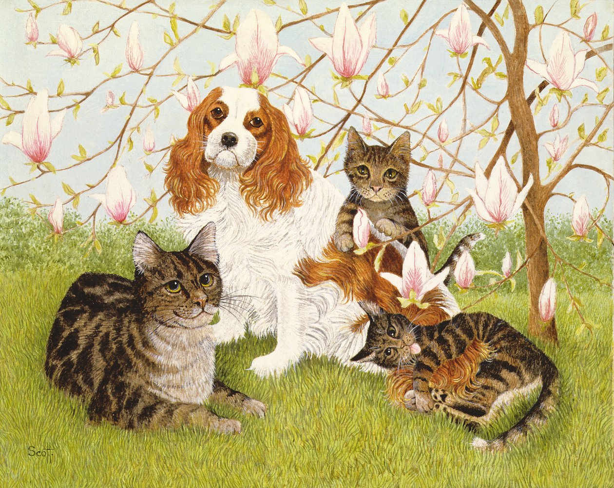  by Pat Scott