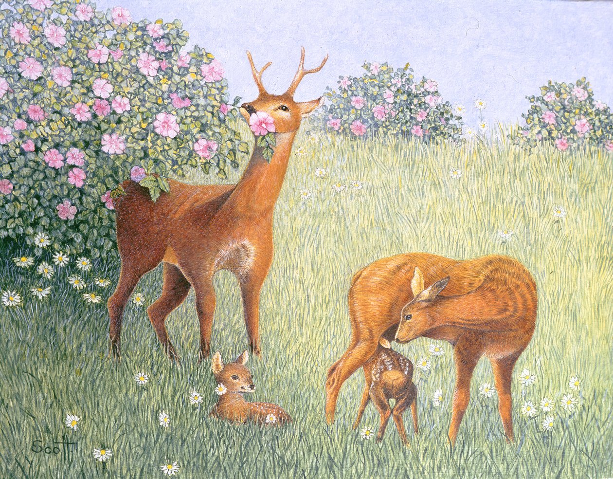  by Pat Scott