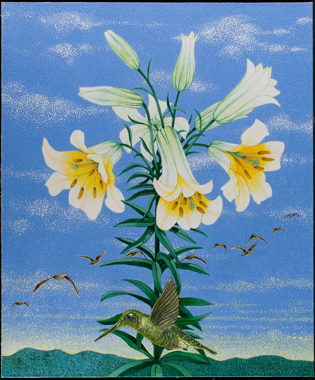  by Pat Scott
