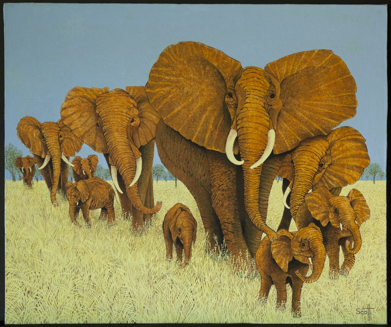  by Pat Scott