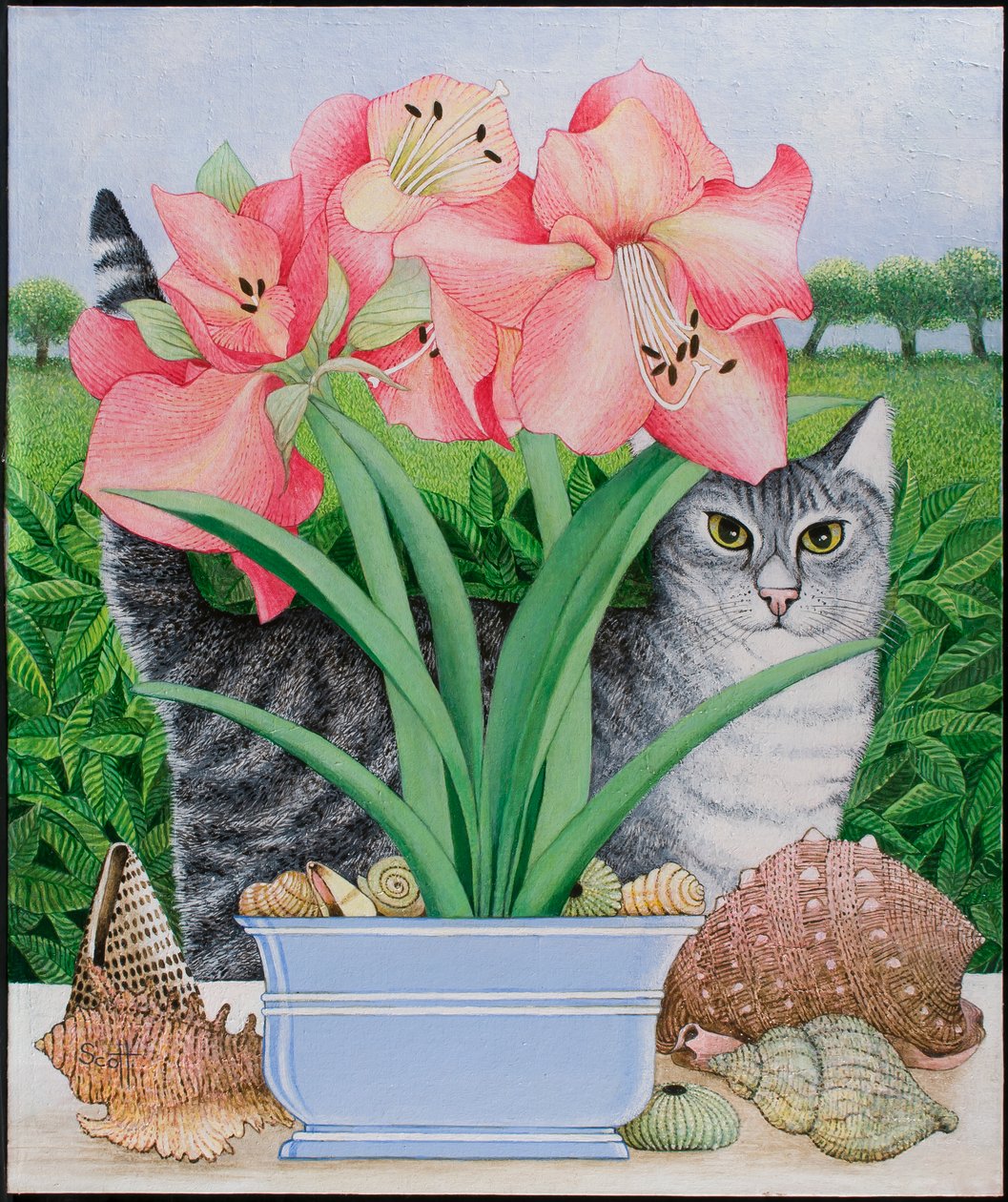  by Pat Scott