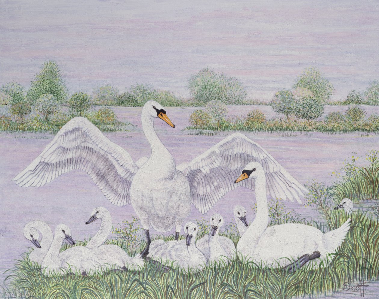  by Pat Scott