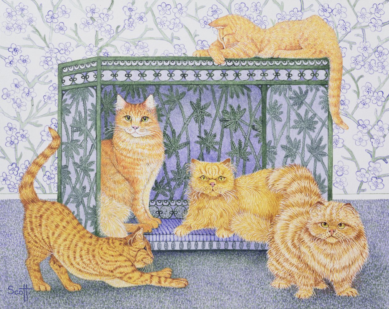  by Pat Scott