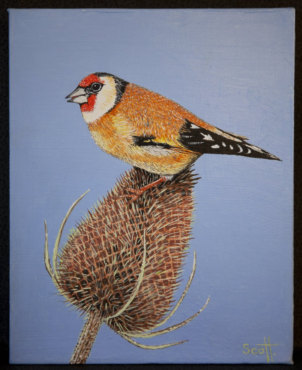  by Pat Scott