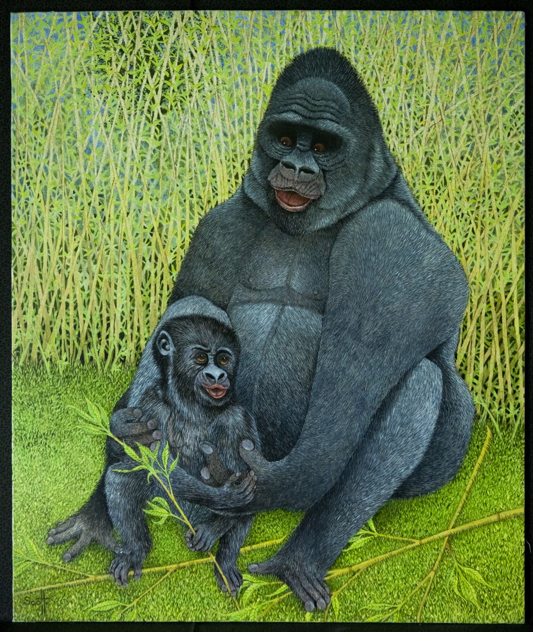  by Pat Scott