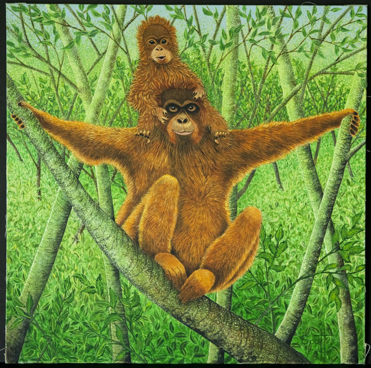  by Pat Scott