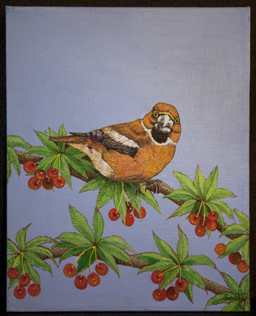  by Pat Scott