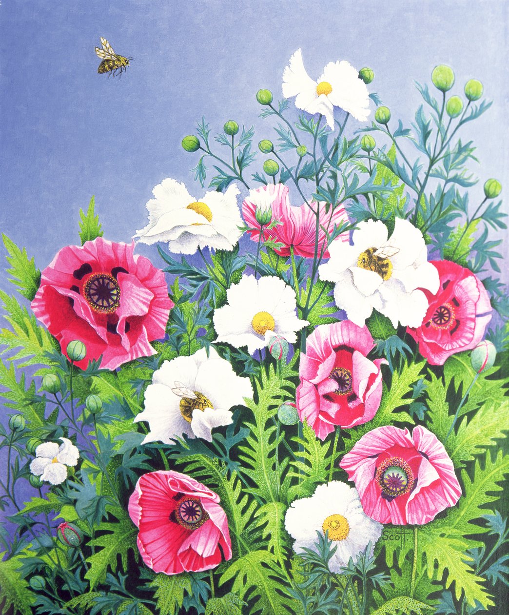  by Pat Scott