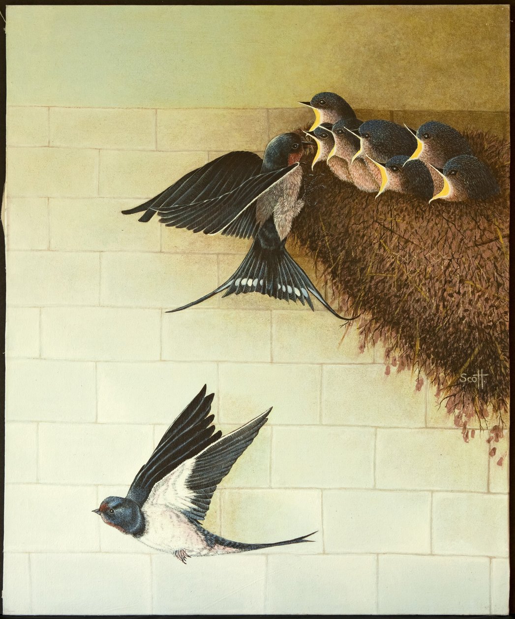Aç Ağızlar, 2011 (patiska üzerine akrilik) by Pat Scott