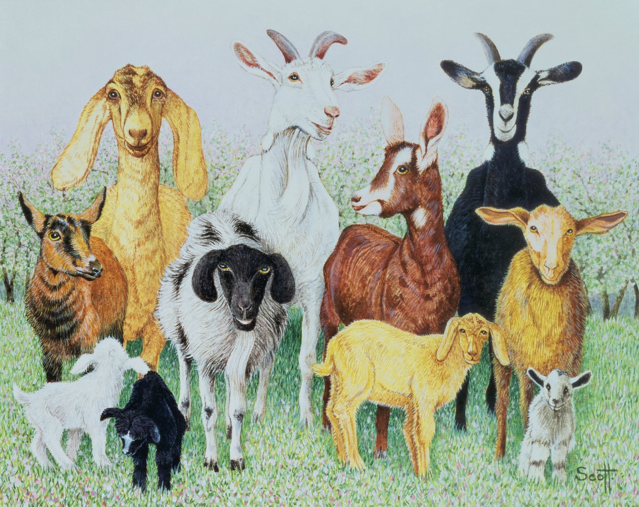 by Pat Scott