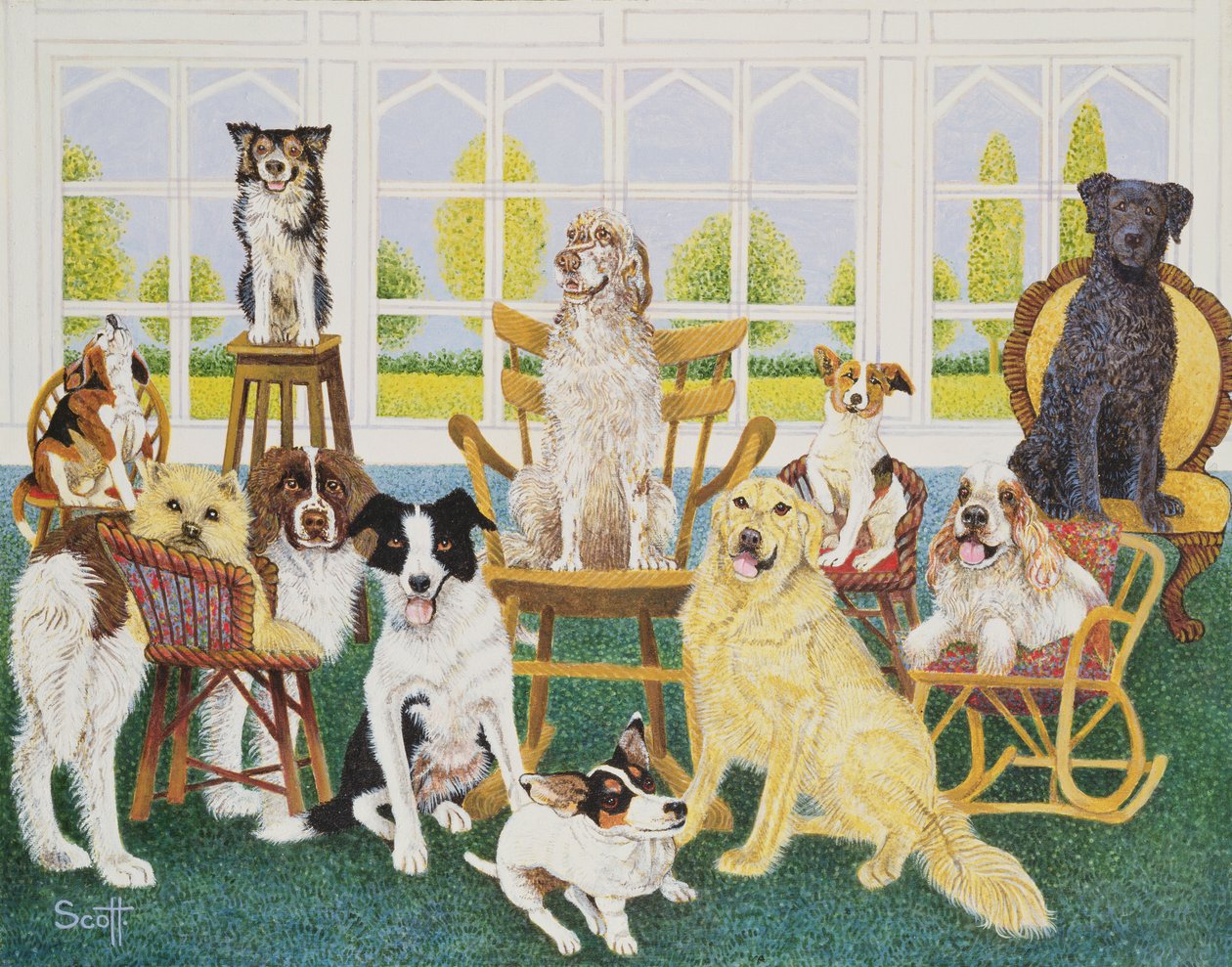  by Pat Scott