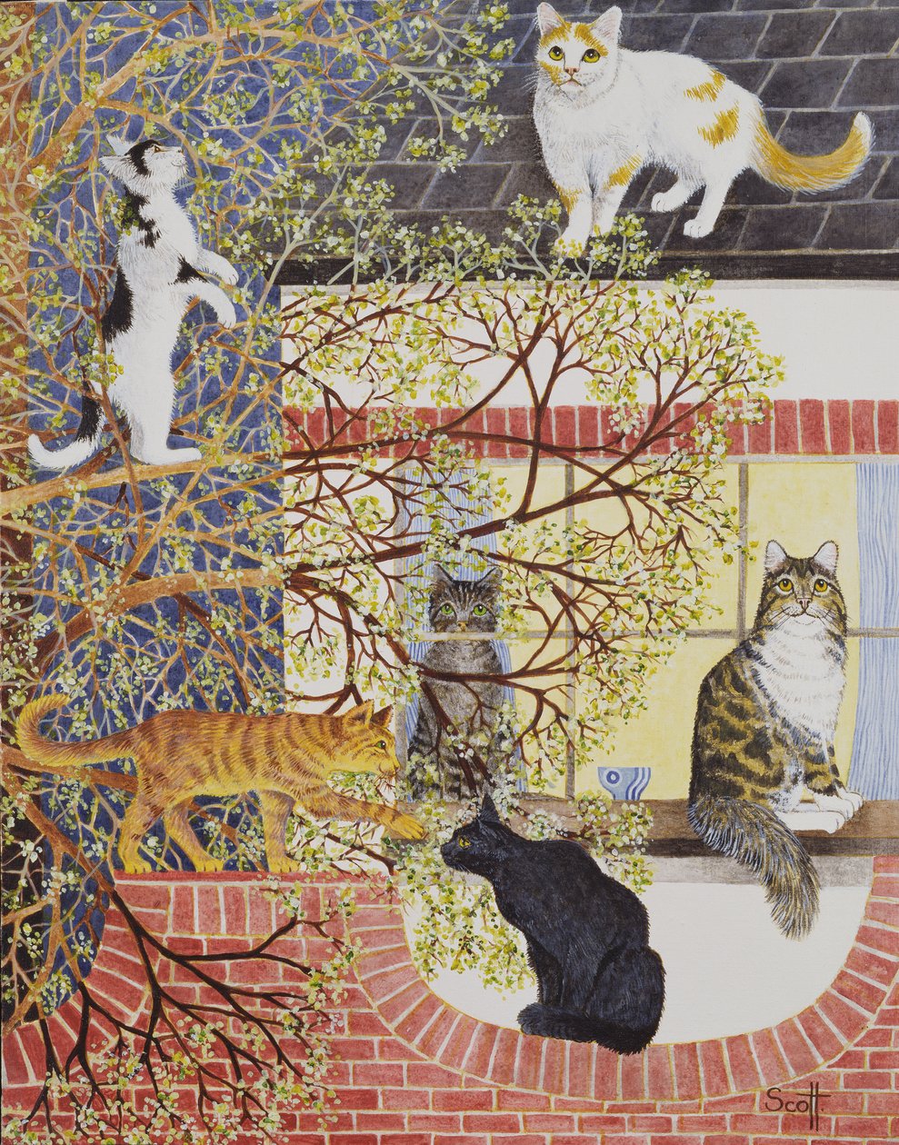  by Pat Scott