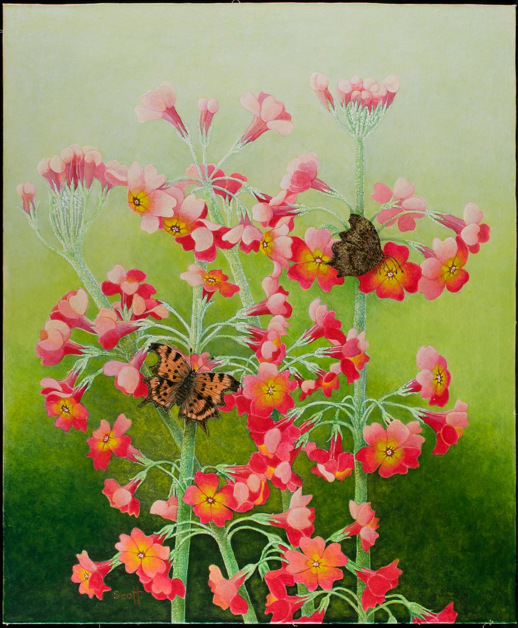 by Pat Scott