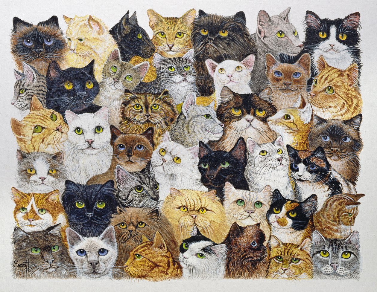 by Pat Scott