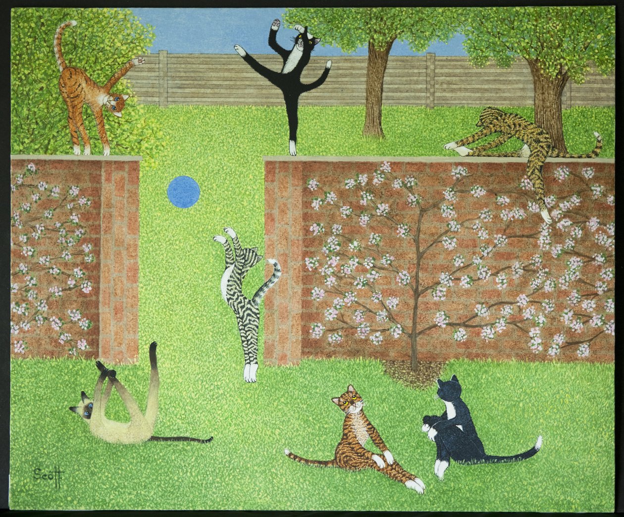  by Pat Scott