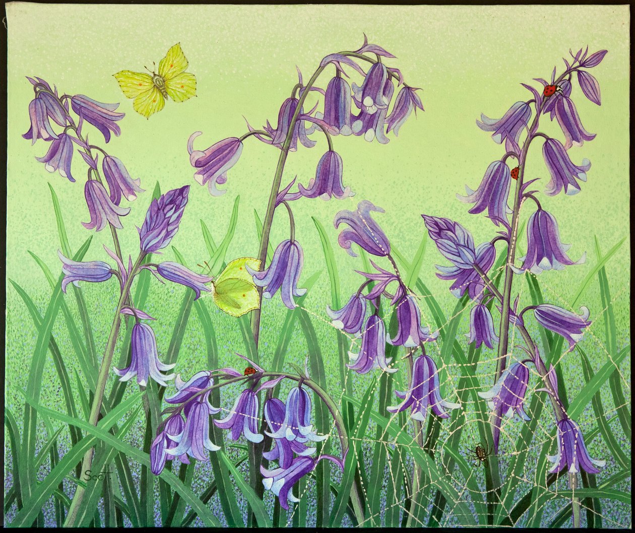  by Pat Scott