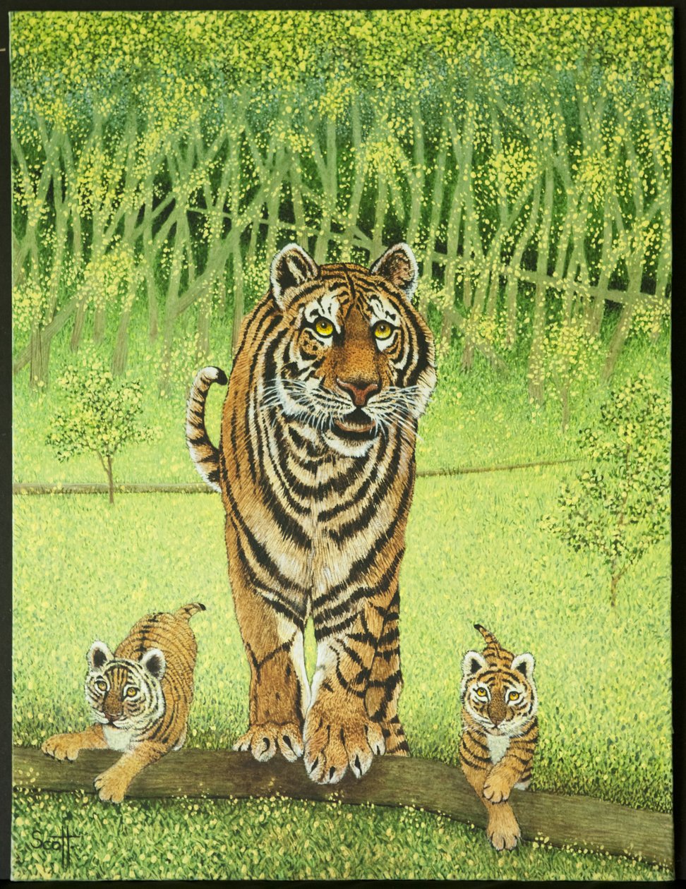  by Pat Scott
