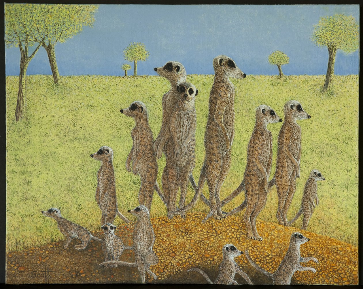  by Pat Scott