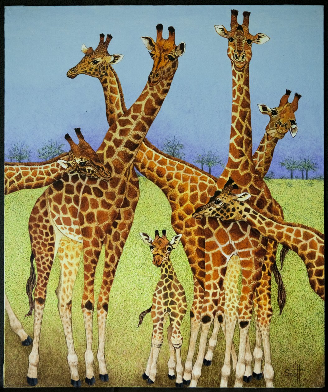  by Pat Scott