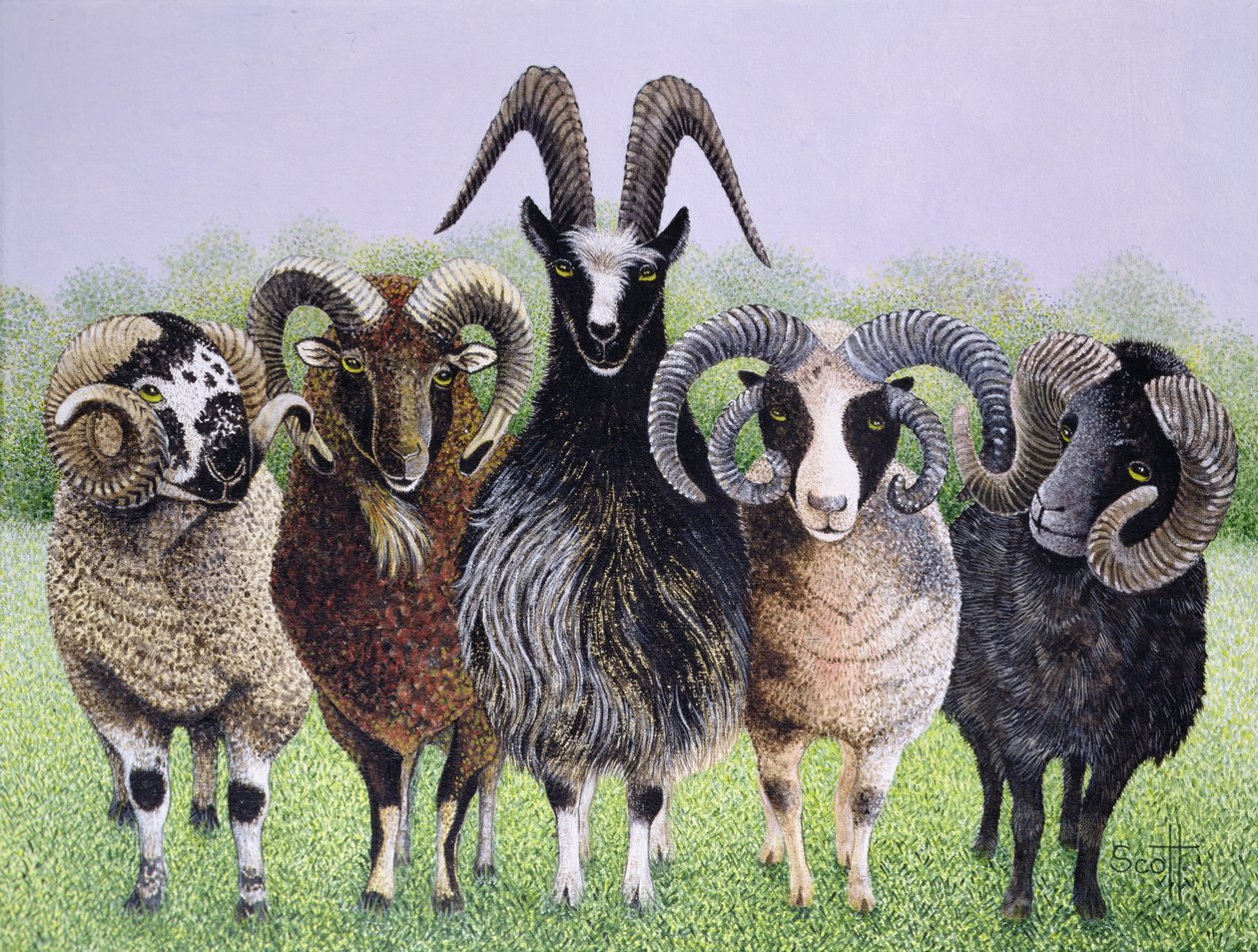  by Pat Scott