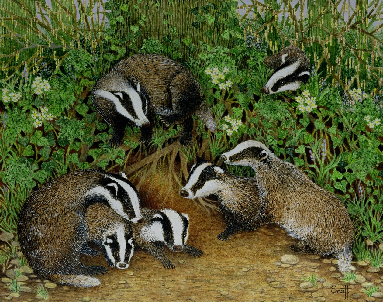  by Pat Scott