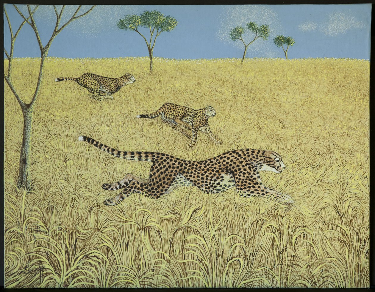 by Pat Scott