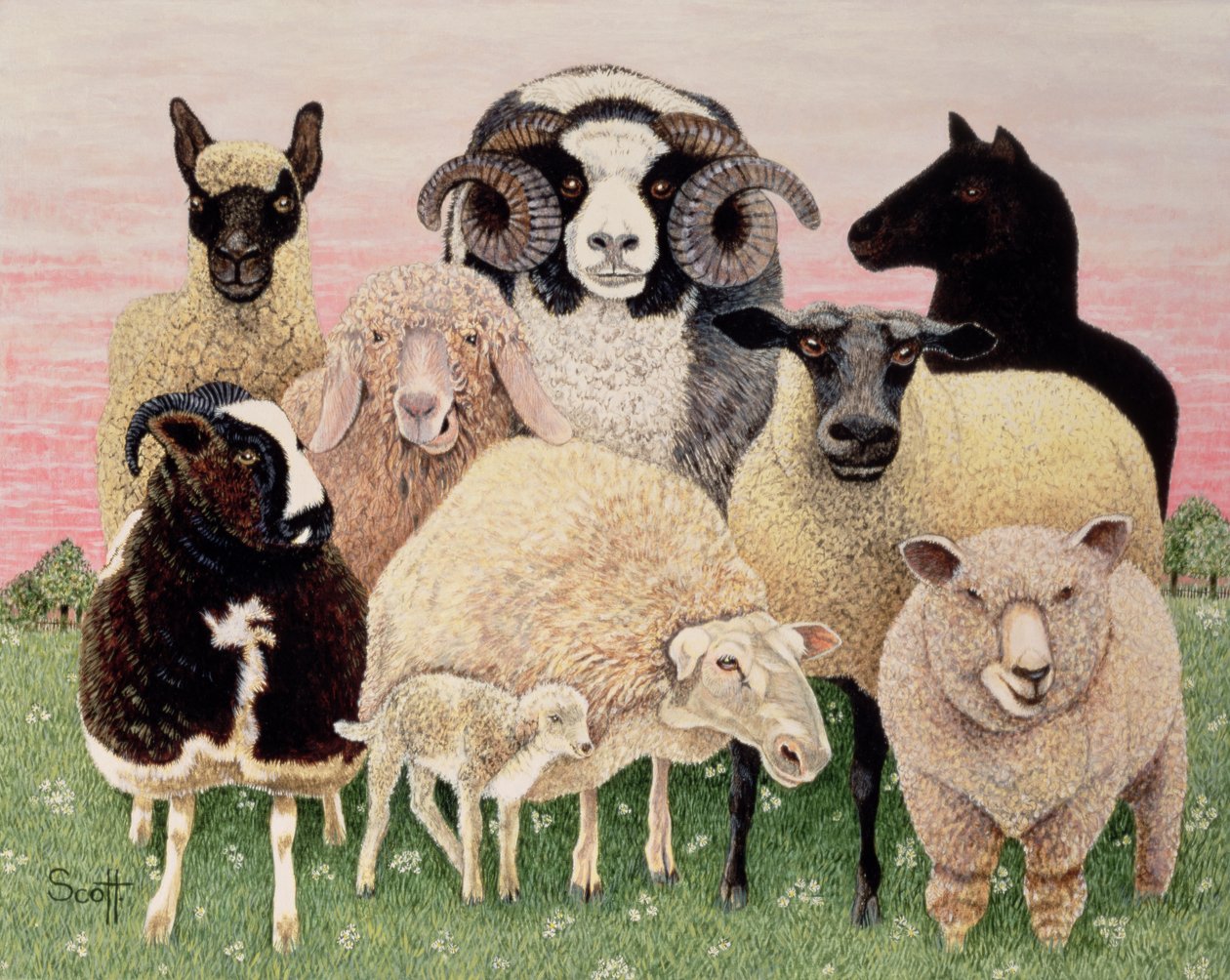  by Pat Scott