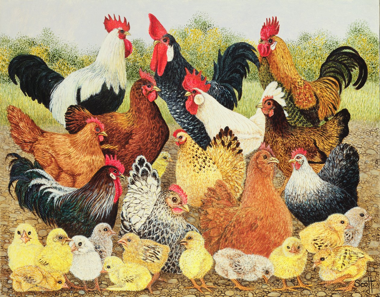  by Pat Scott