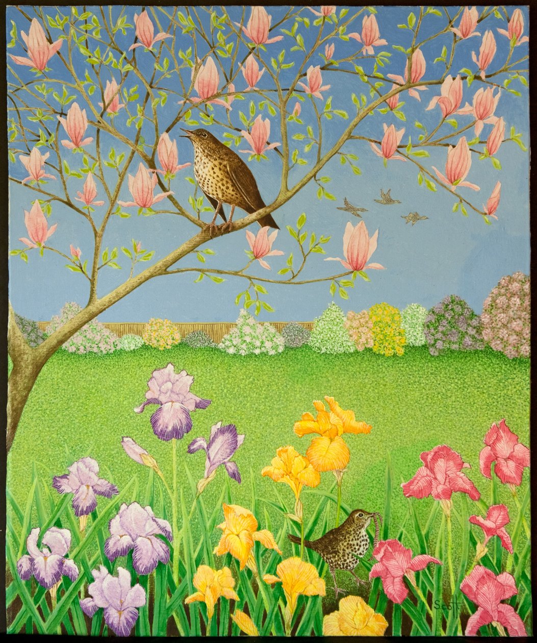  by Pat Scott