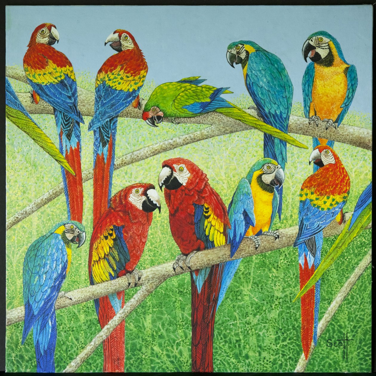  by Pat Scott