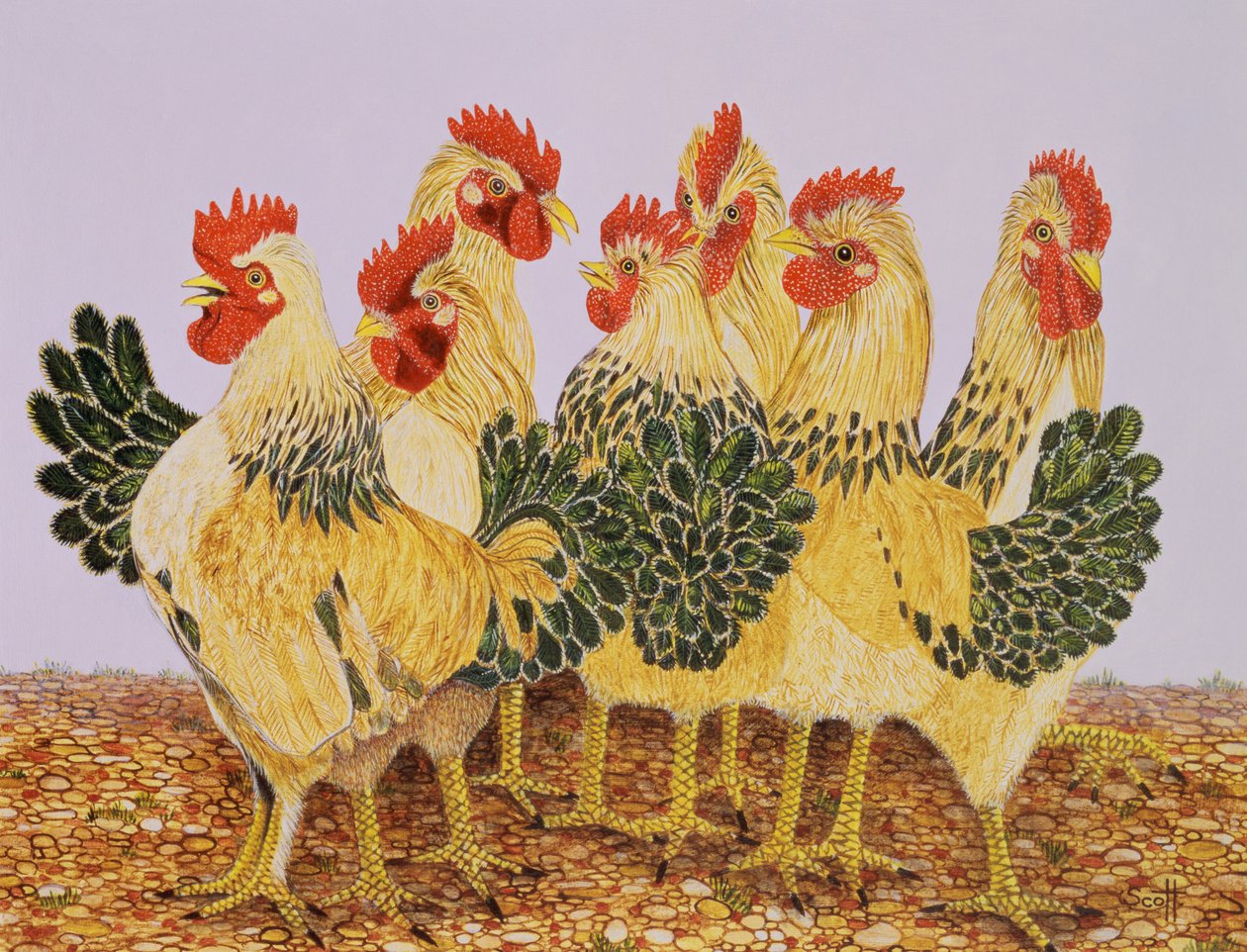  by Pat Scott
