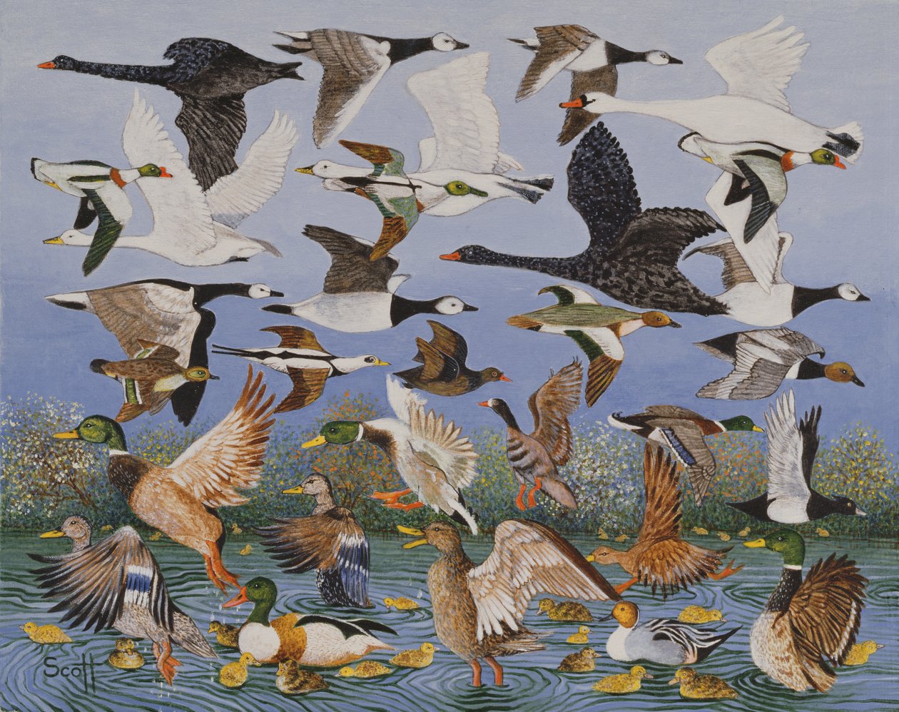  by Pat Scott