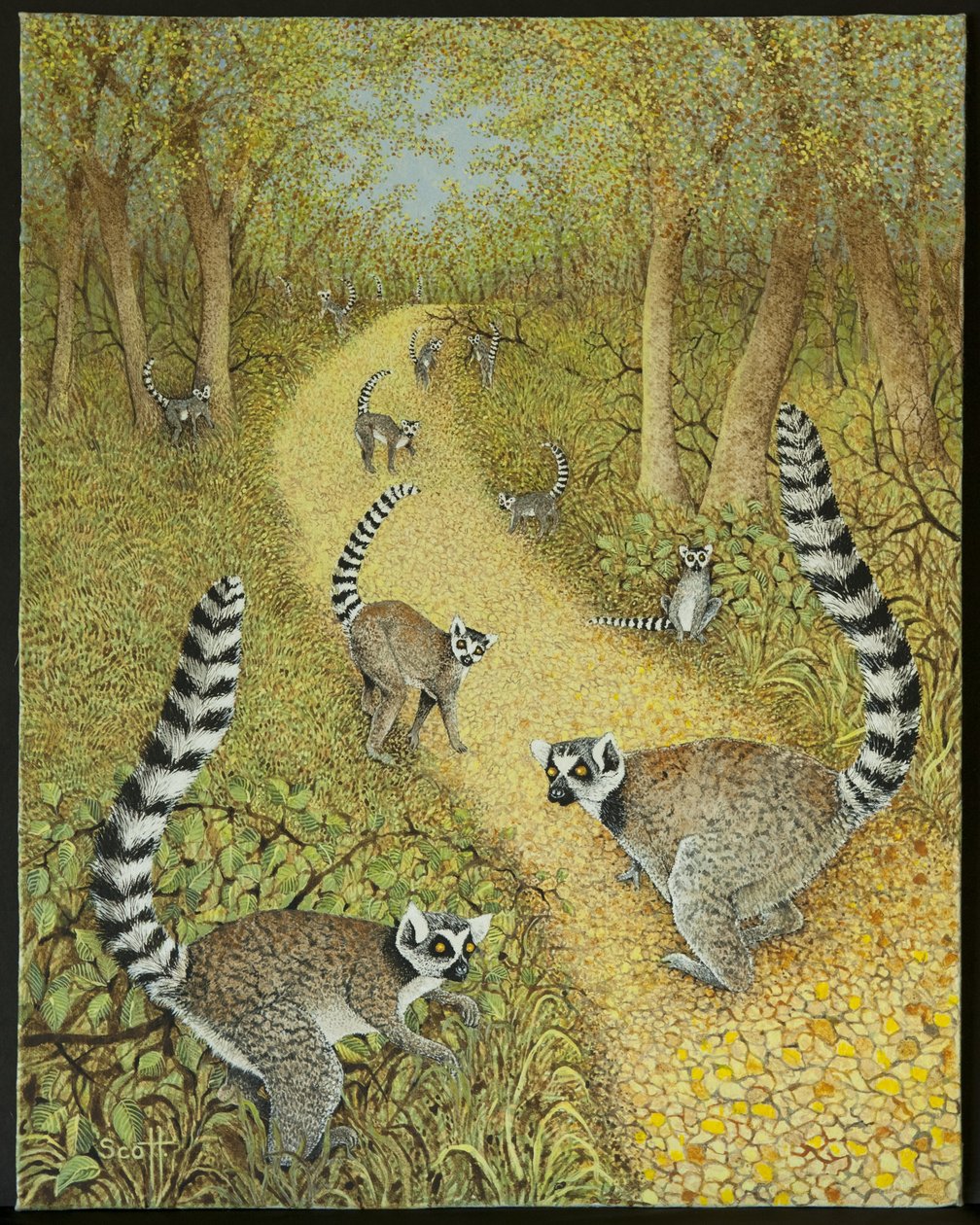  by Pat Scott