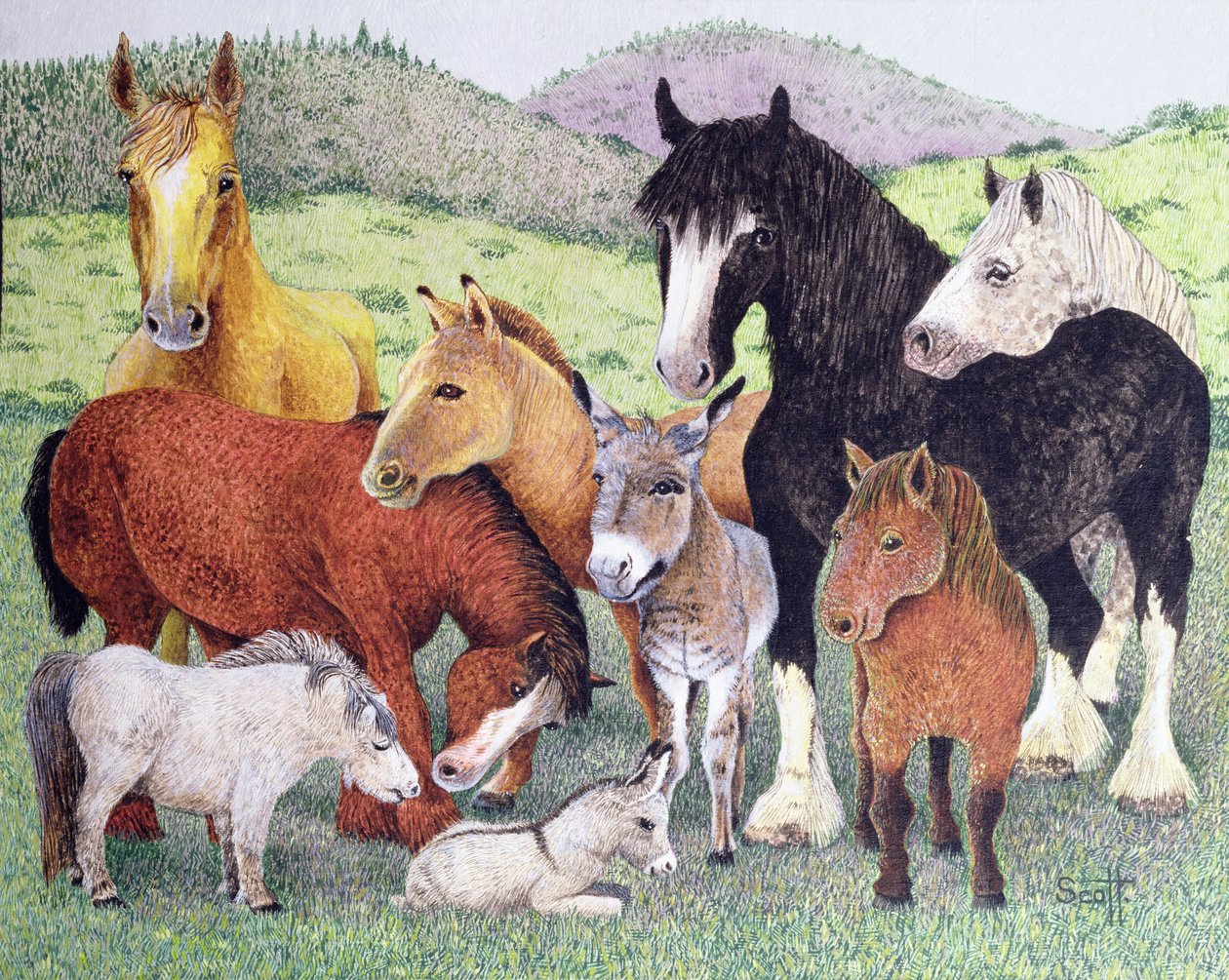  by Pat Scott