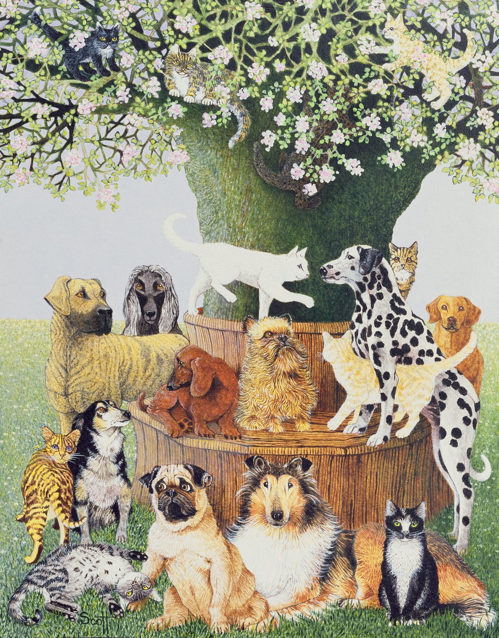  by Pat Scott