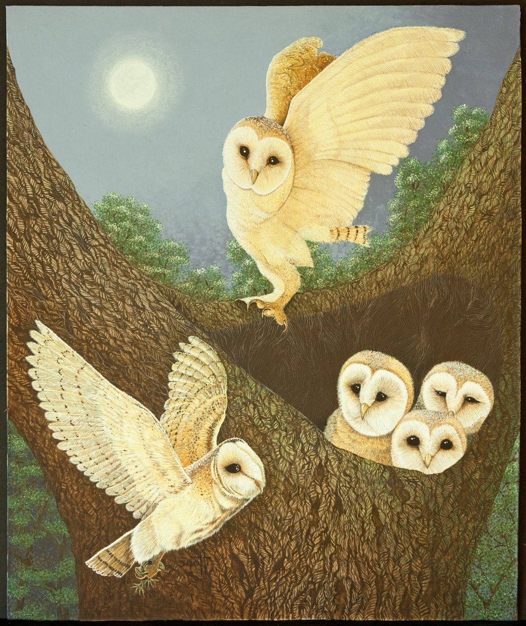  by Pat Scott