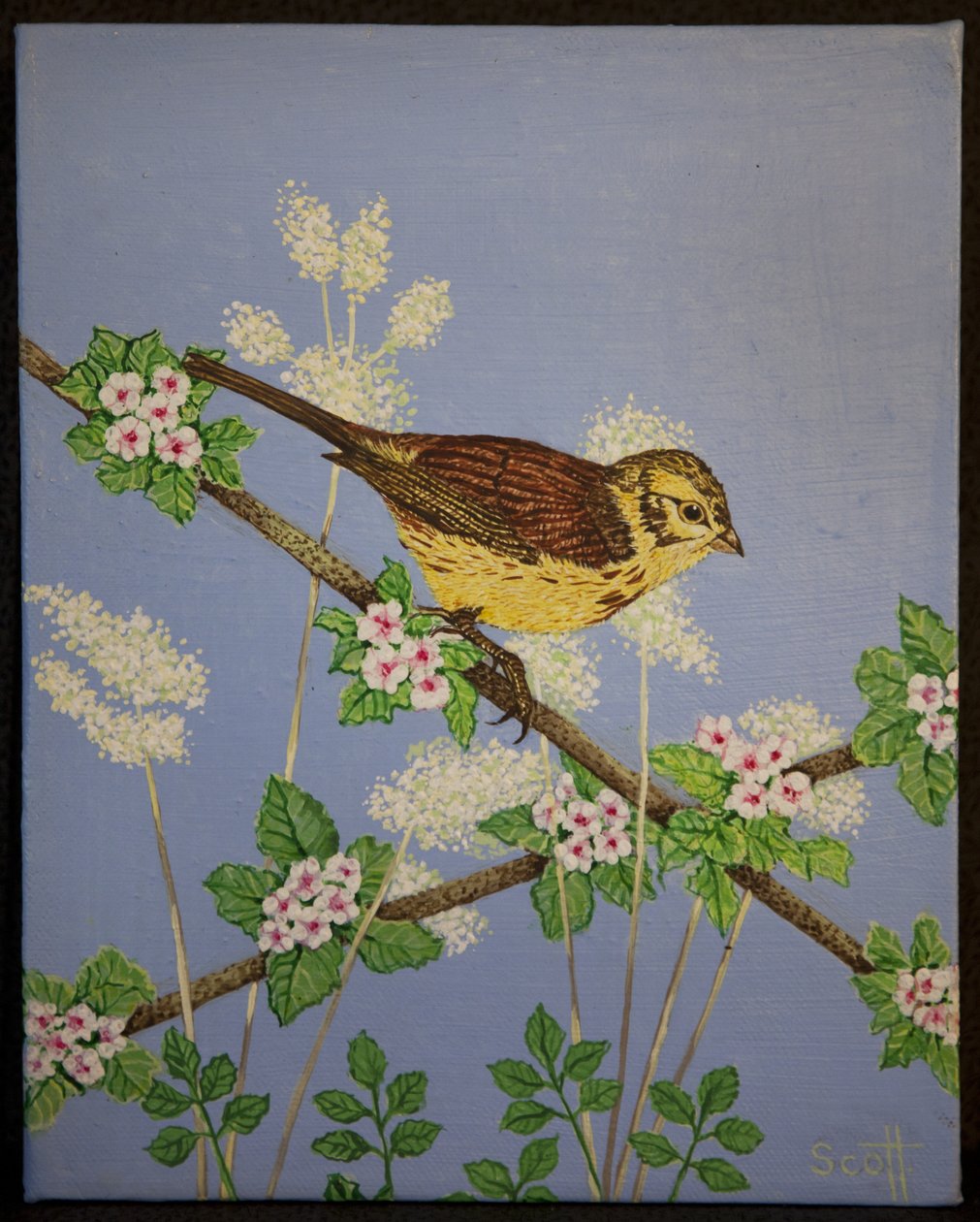  by Pat Scott
