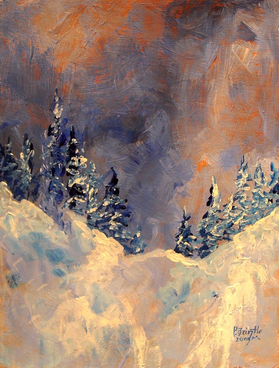Kar Zirvesindeki Sis, 2009, (ahşap üzerine akrilik) by Patricia Brintle
