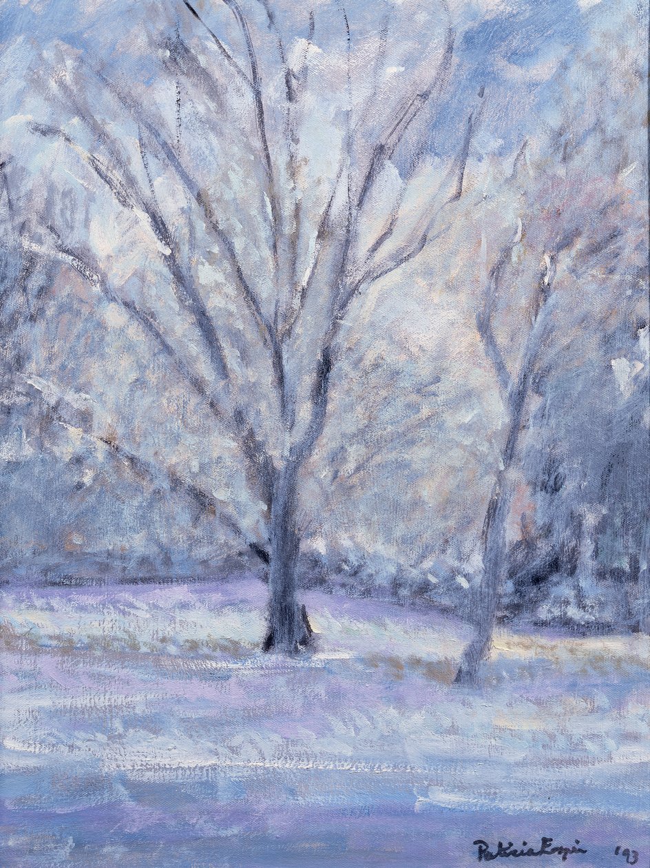 kar sahnesi by Patricia Espir