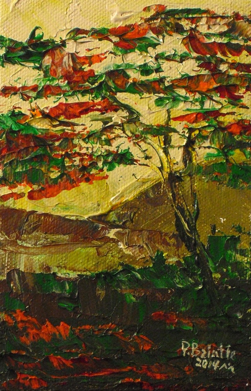 Flamboyant en fleur, 2014 (tuval üzerine akrilik) by Patricia Brintle