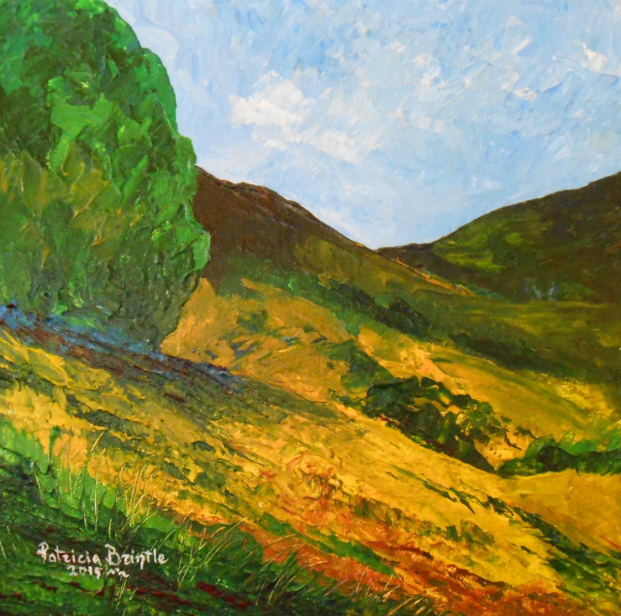 Morne La Selle, 2015 (tuval üzerine akrilik) by Patricia Brintle