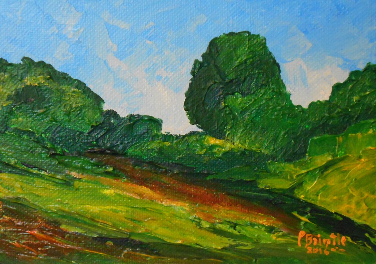 Plaisance çevreleyen, 2016 (sanat tahtasında akrilik) by Patricia Brintle