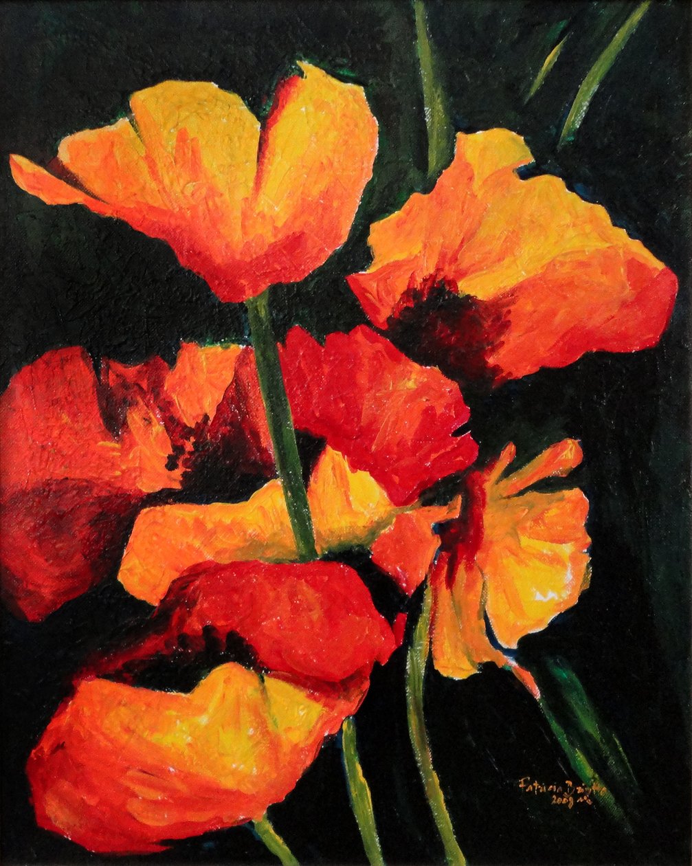 Spirited Poppies, 2008 (tuval üzerine akrilik) by Patricia Brintle