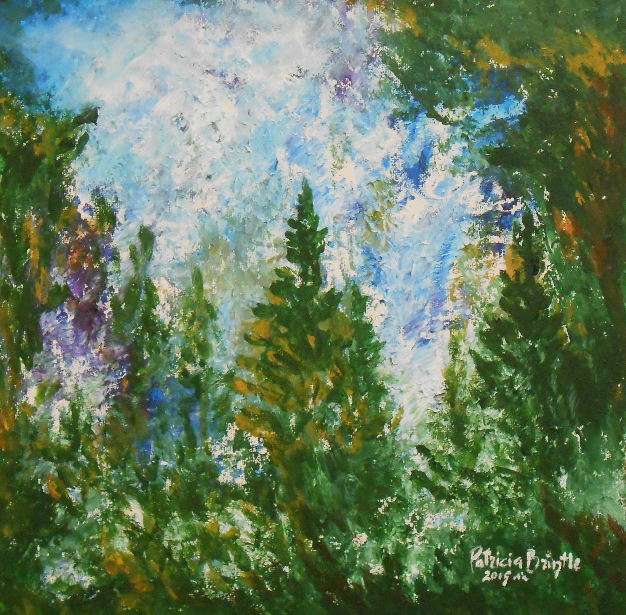 Kış öğleden sonra, 2015 (tuval üzerine akrilik) by Patricia Brintle