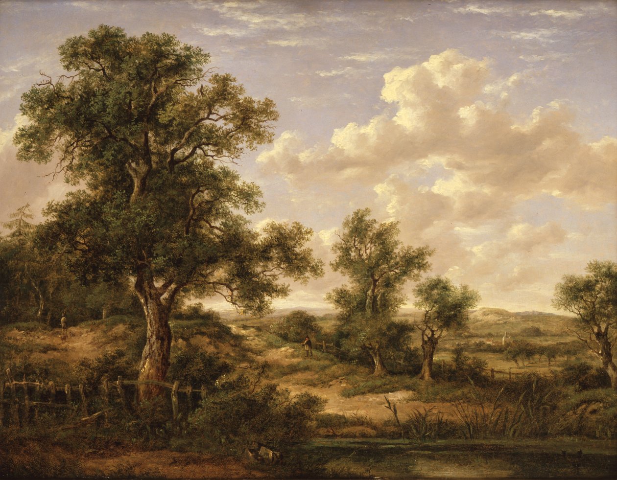  by Patrick Nasmyth
